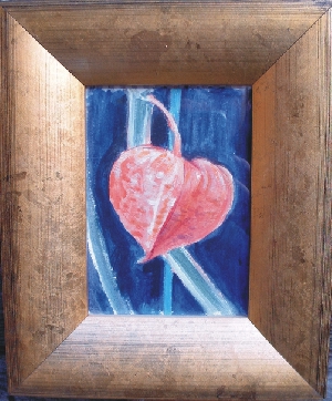 Physalis-single